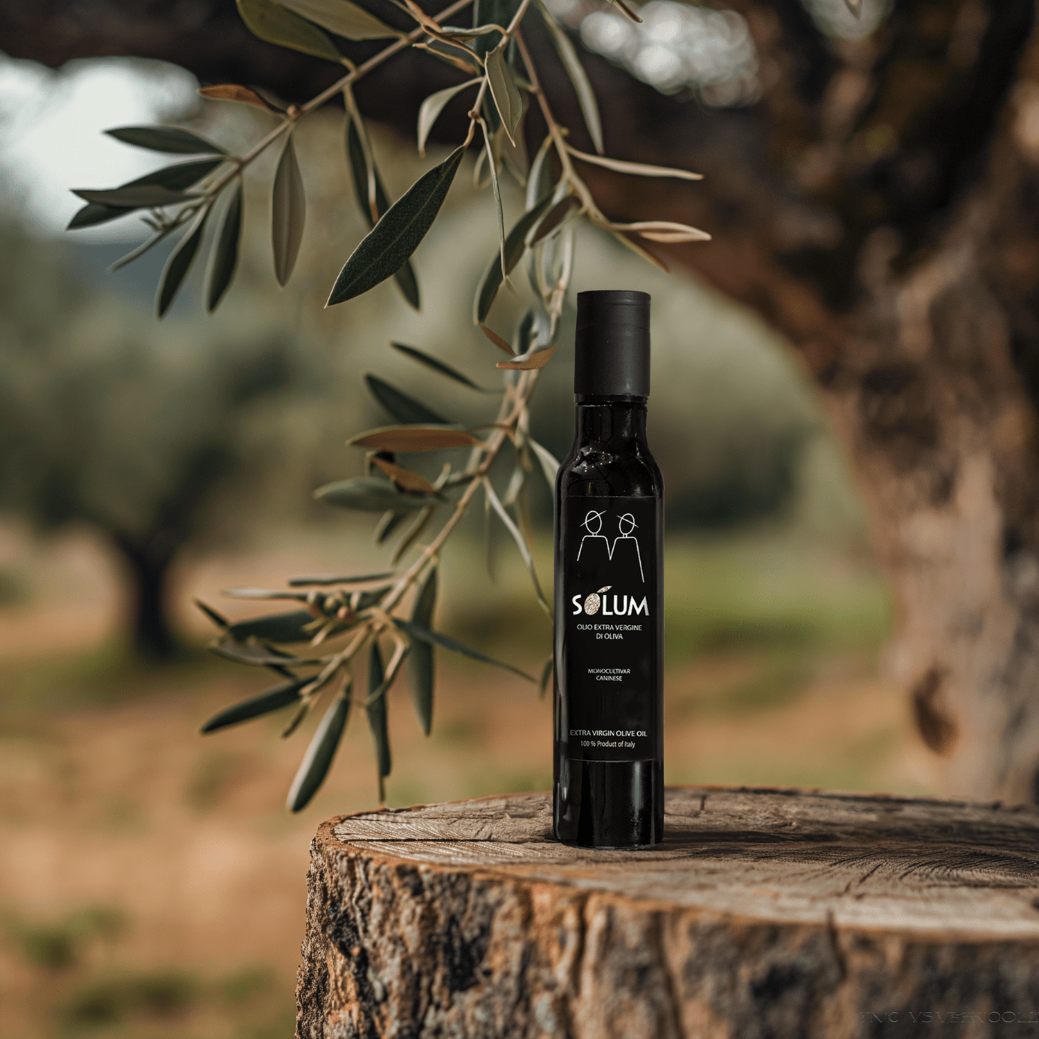Olio Monovarietale: L’eccellenza dell’olio extravergine italiano